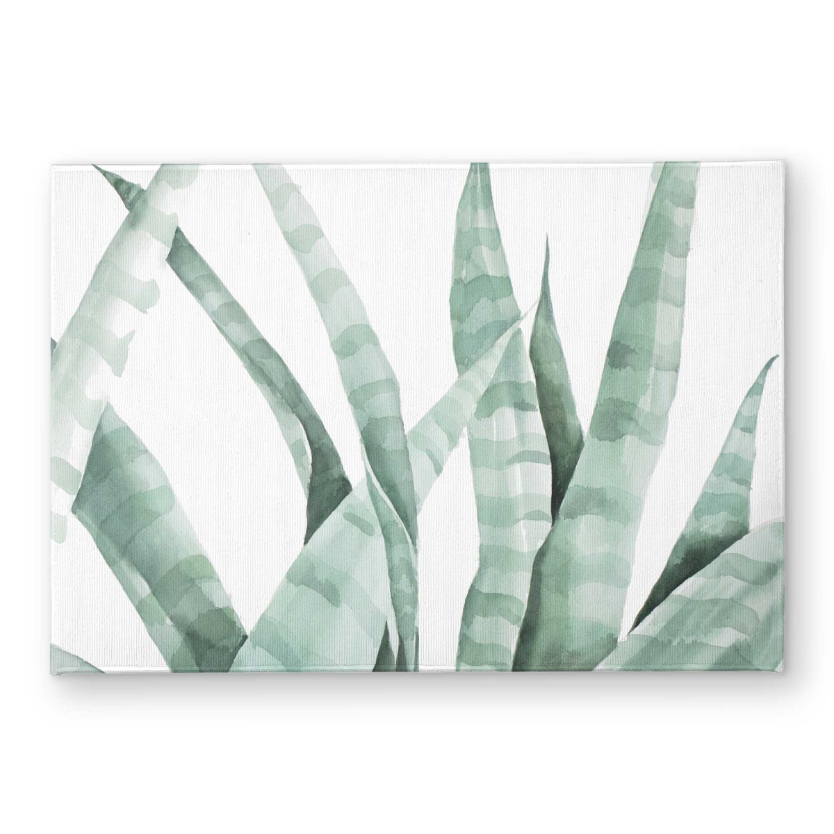 CODM17244CQRCB 17 x 24 in. Watercolor Striped Desert Plant Door Mat - Green Leaves