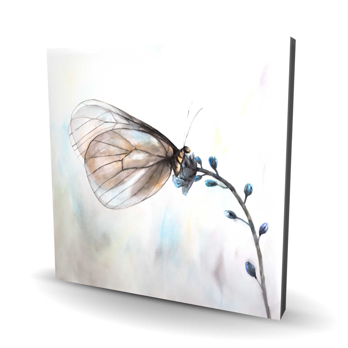 C1RC2424Z37Z8R 24 x 24 in. Butterfly on Blue Flowers - Floral Canvas for Home Decor