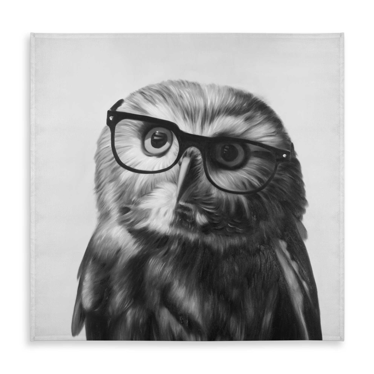 Picture of Begin Home Decor C1TC5858B0Z470 58 x 58 in. Northern Saw-Whet Owl with Glasses Tablecloth - Black Decor