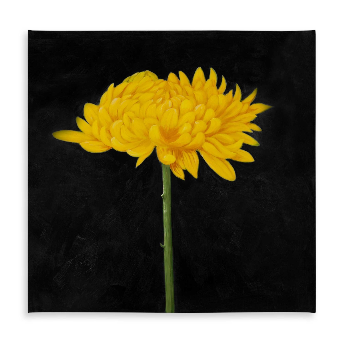 Picture of Begin Home Decor C1TC5858S8ZLCD 58 x 58 in. Chrysanthemum Black Tablecloth - Floral Decor Indoor & Outdoor