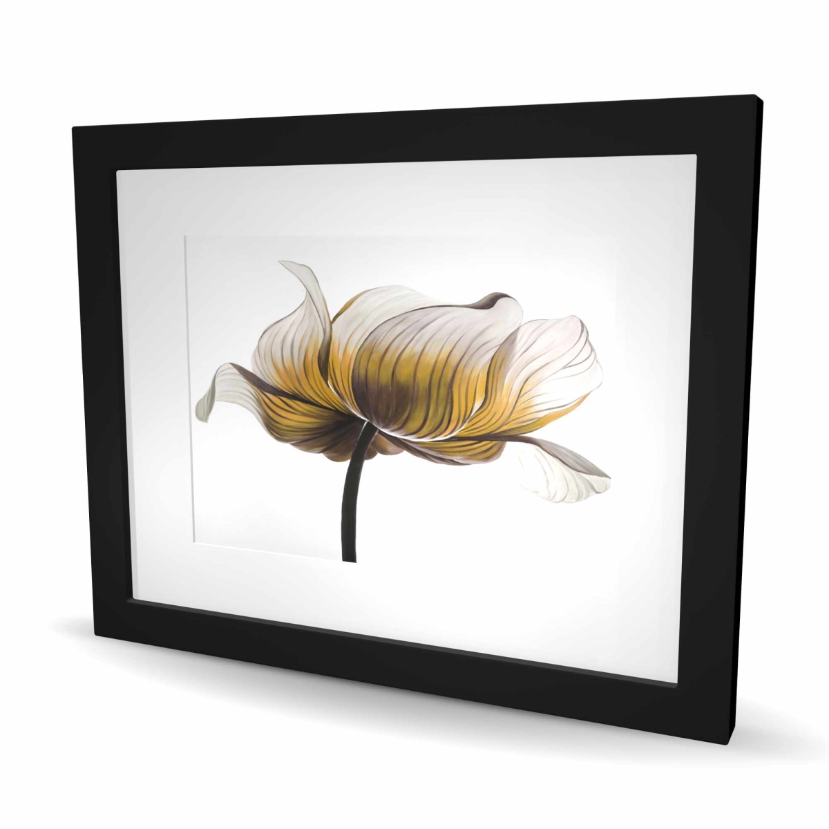 C1FM1620OILVMG 16 x 20 in. Yellow Anemone Flower Print - Floral Contemporary Home Decor