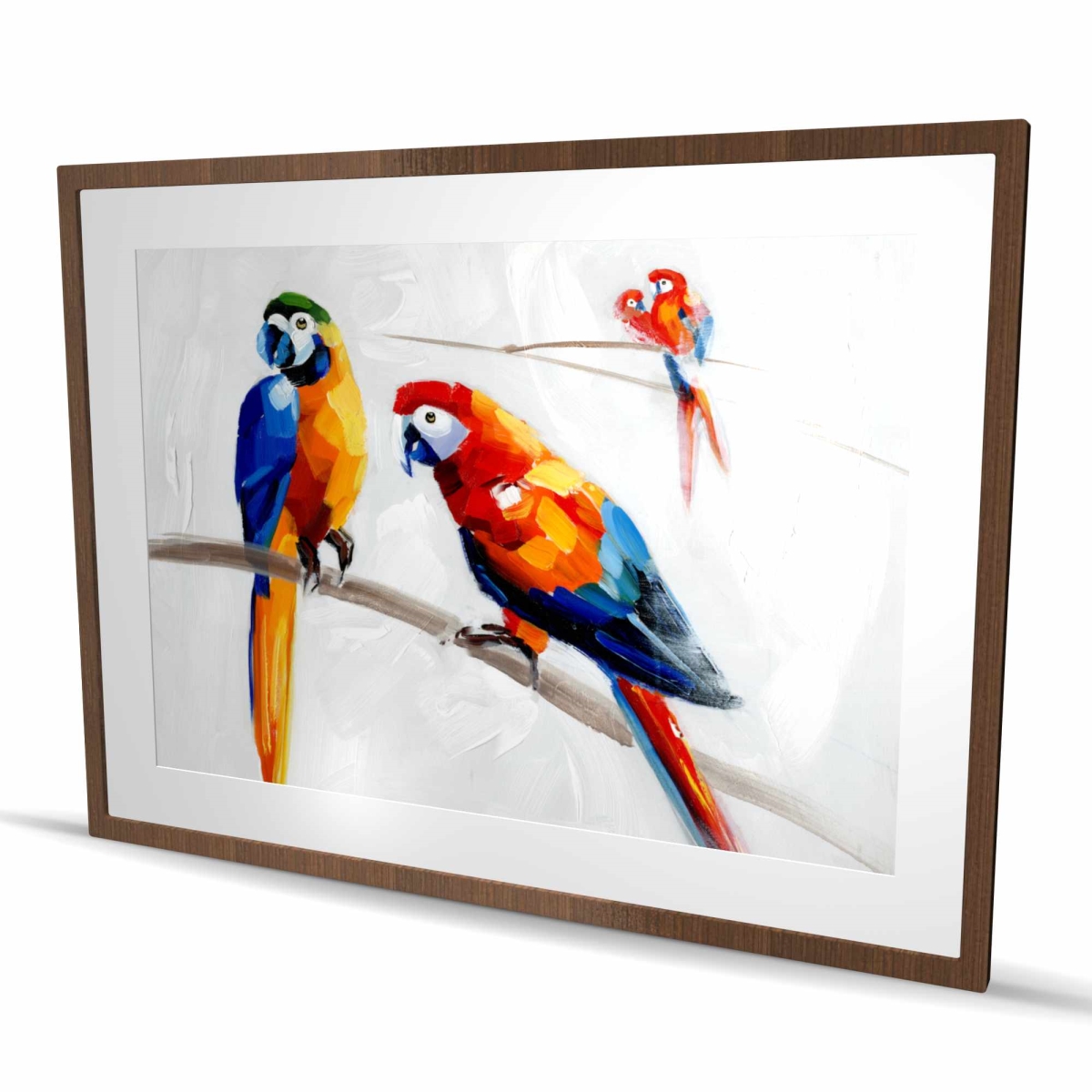 C1FM36486XGXSW 36 x 48 in. Parrots on A Branch - Wildlife Blue Framed Matted Print