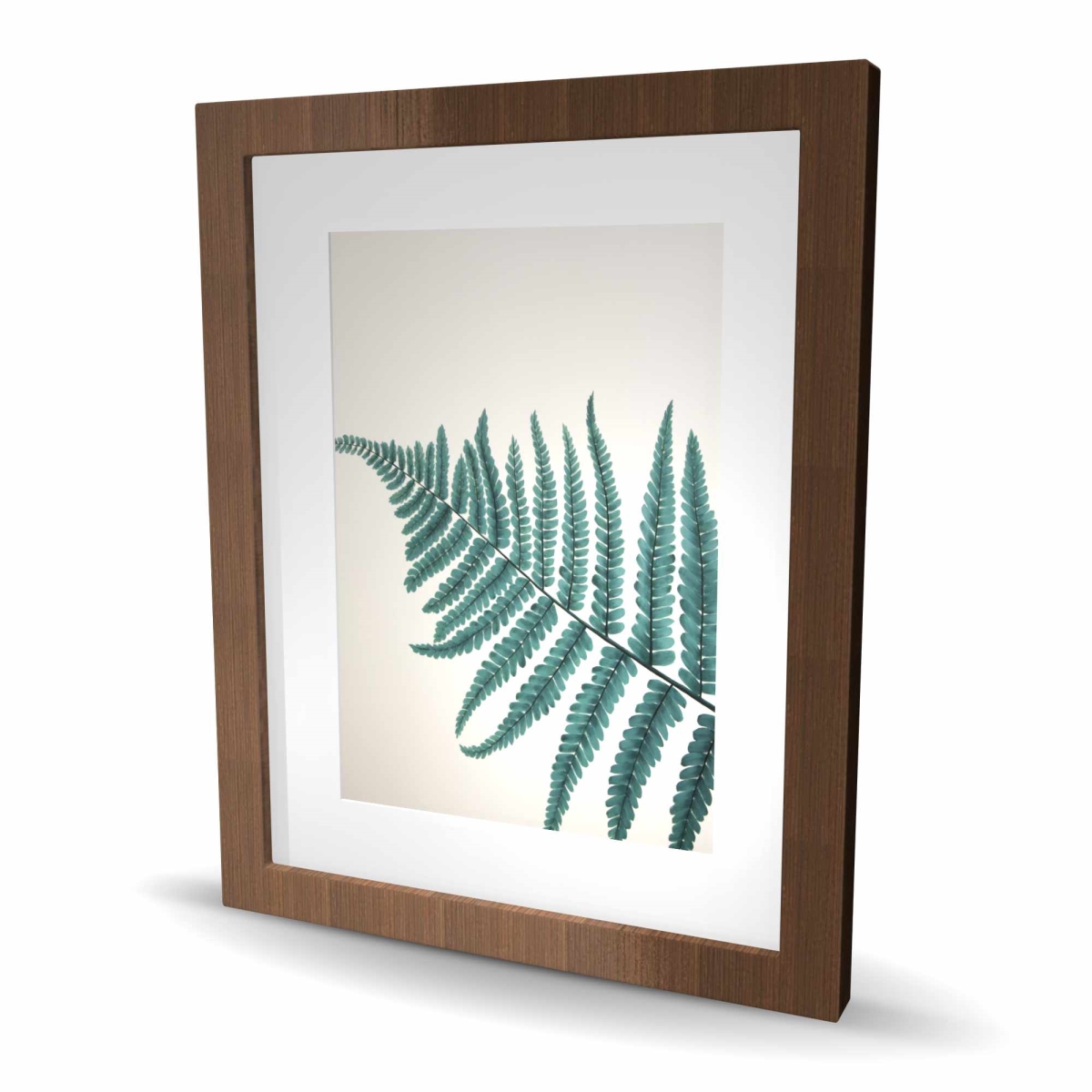 C1FM1620I0DXKU 16 x 20 in. Beautiful Fern - Floral Botanical Hygge Framed Print Decor