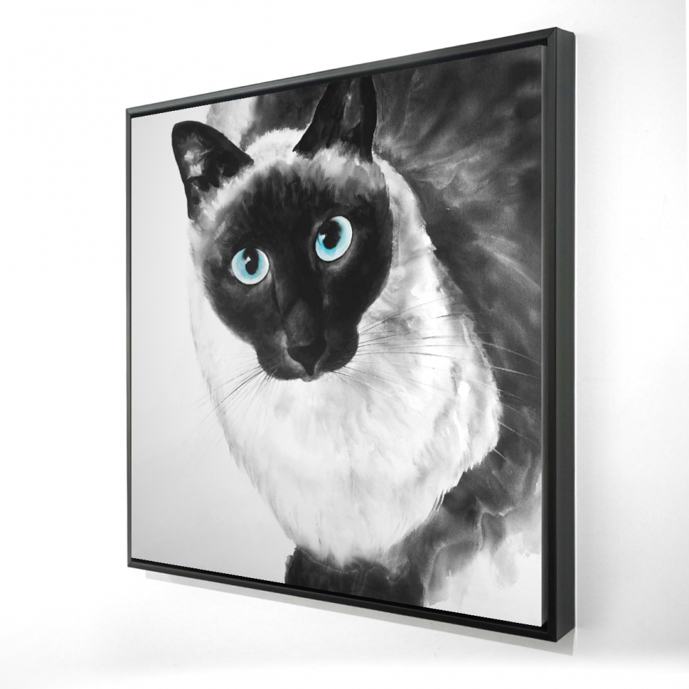2081-2424-AN191 24 x 24 in. Blue Eyes Siamese Cat Canvas - White Framed Home Decor