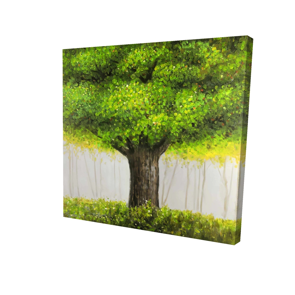 2080-2424-LA84 24 x 24 in. Big Green Tree Canvas - Brown Trees Bedroom Home Decor