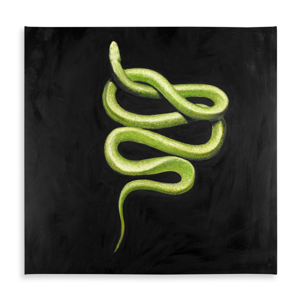 Picture of Begin Home Decor C1TC5858QQHVL2 58 x 58 in. Green Snake Tablecloth - Indoor & Outdoor Reptile Home Decor