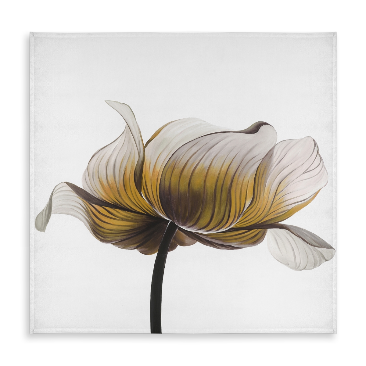 Picture of Begin Home Decor C1TC58588MCNJK 58 x 58 in. Yellow Anemone Flower Tablecloth - Indoor & Outdoor Home Decor