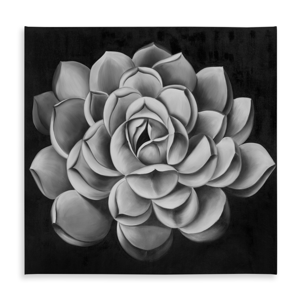 Picture of Begin Home Decor C1TC5858MATXB1 58 x 58 in. White Floral Tablecloth - Black & White Succulent Decor