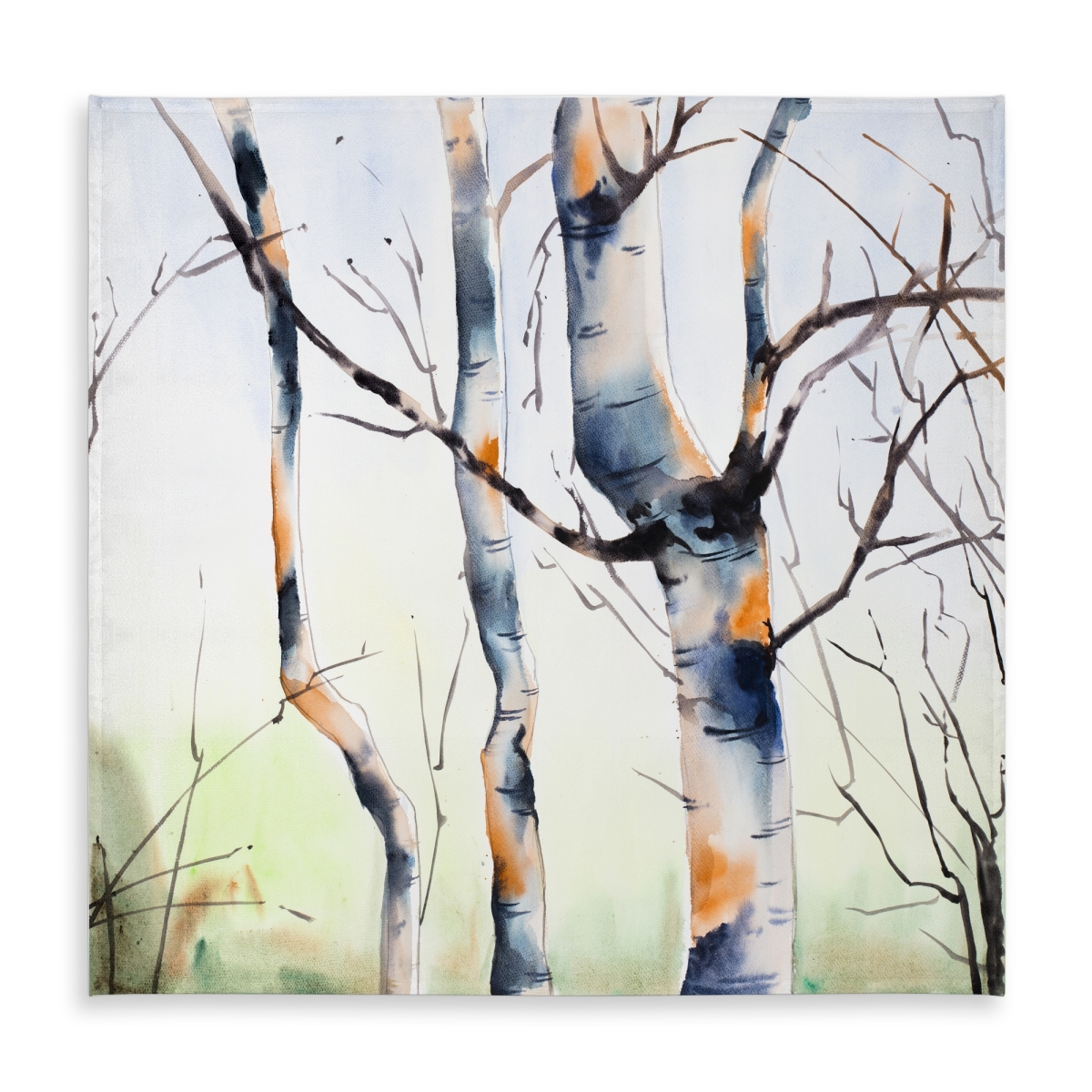 Picture of Begin Home Decor C1TC5858EQ51NO 58 x 58 in. Three Small Birch Trees Tablecloth - Indoor Outdoor Decor
