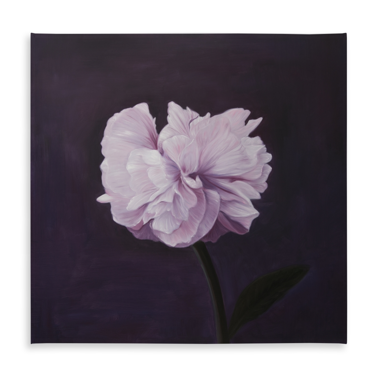 Picture of Begin Home Decor C1TC58581N8Y7V 58 x 58 in. Beautiful Purple Flower Tablecloth - Indoor & Outdoor Home Decor
