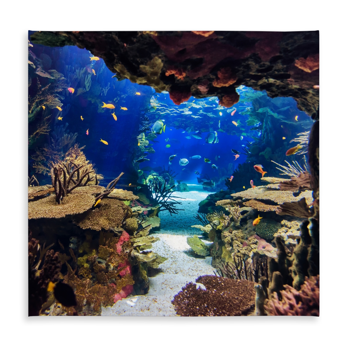 Picture of Begin Home Decor C1TC5858A80C1D 58 x 58 in. Aquarium Tablecloth - Indoor Outdoor Home Decor Essential