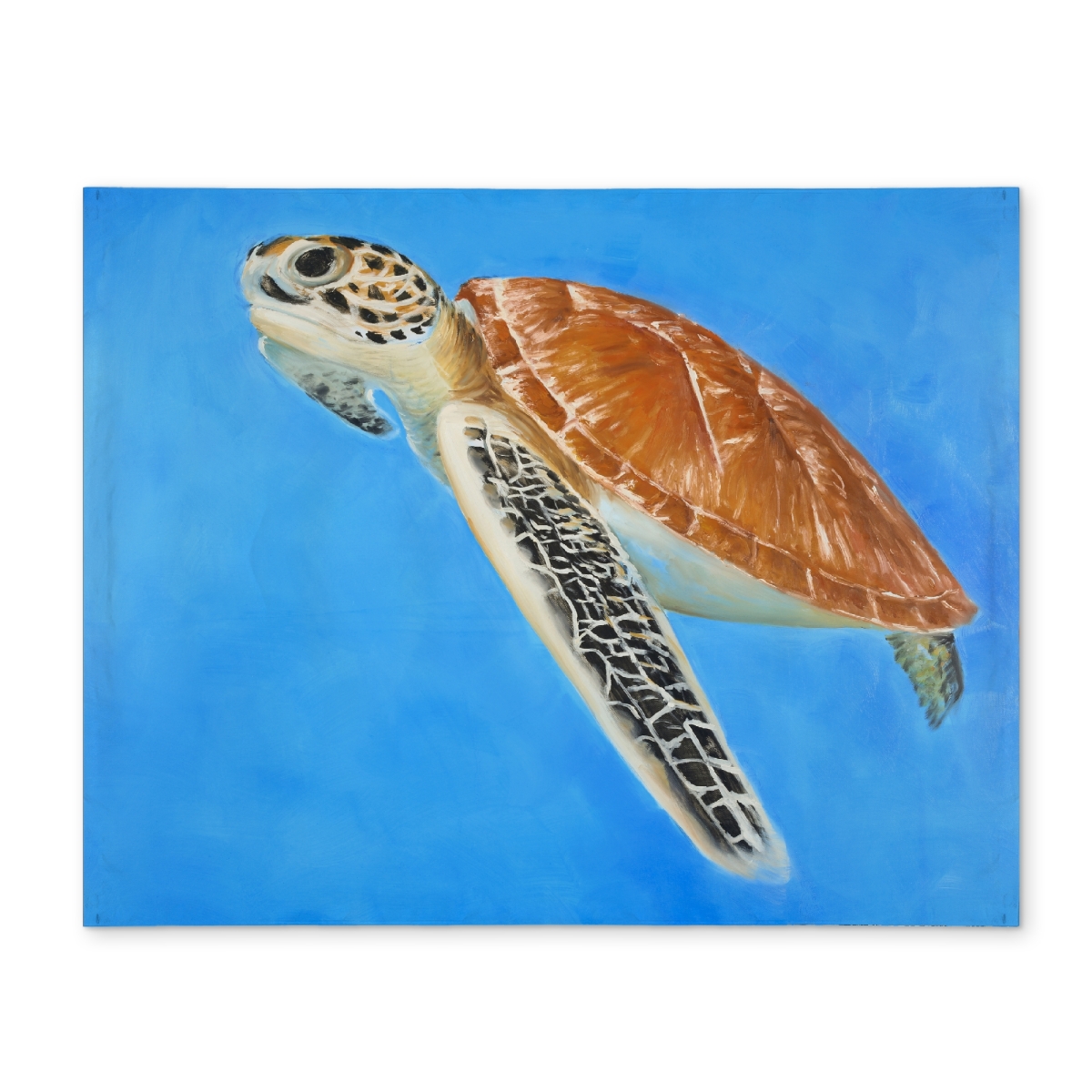 Picture of Begin Home Decor CPPM1418JV167J 14 x 18 in. Exotic Sea Turtle Blue Polyester Placemat - Home Decor