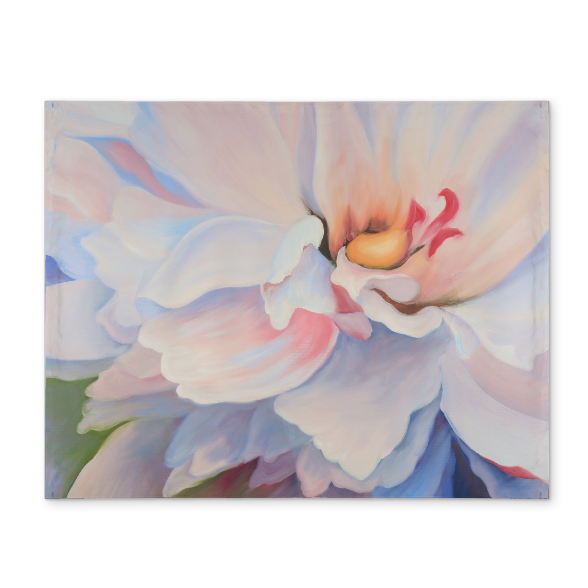 Picture of Begin Home Decor CPPM1418JNJ8U0 14 x 18 in. Pastel Flower Placemat - Contemporary Floral Home Decor