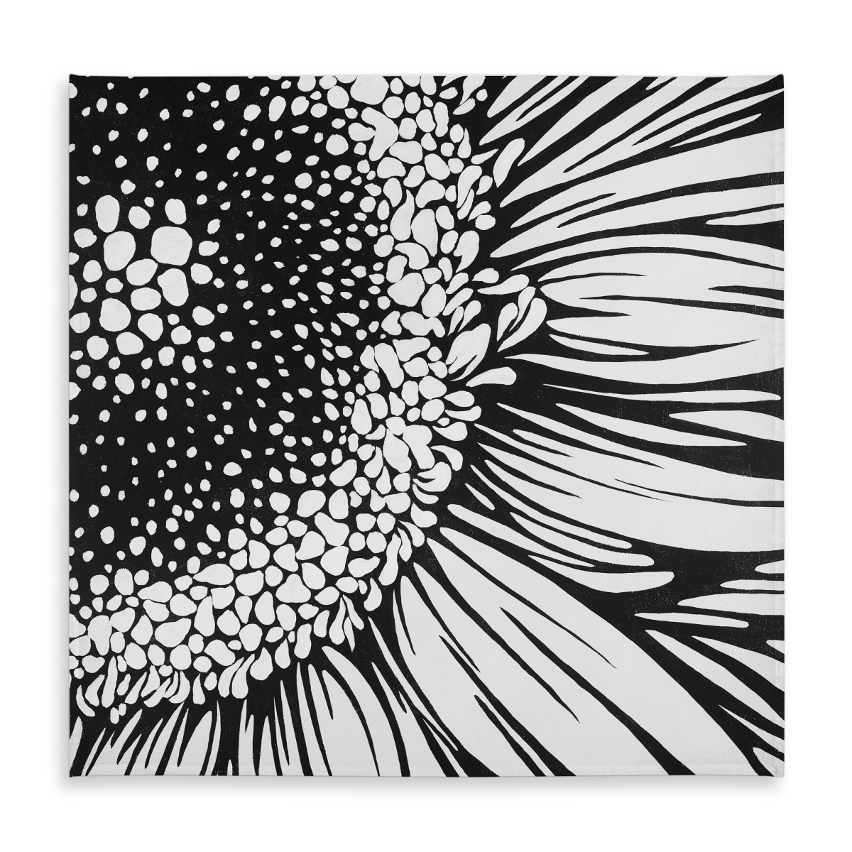 Picture of Begin Home Decor C1TC5858TMNVWU 58 x 58 in. Gerbera Flower Black Tablecloth - Indoor Outdoor Home Decor
