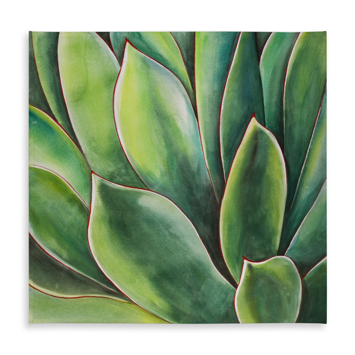 Picture of Begin Home Decor C1TC5858279H4Q 58 x 58 in. Watercolor Agave Plant Tablecloth - Cactus Indoor & Outdoor Decor