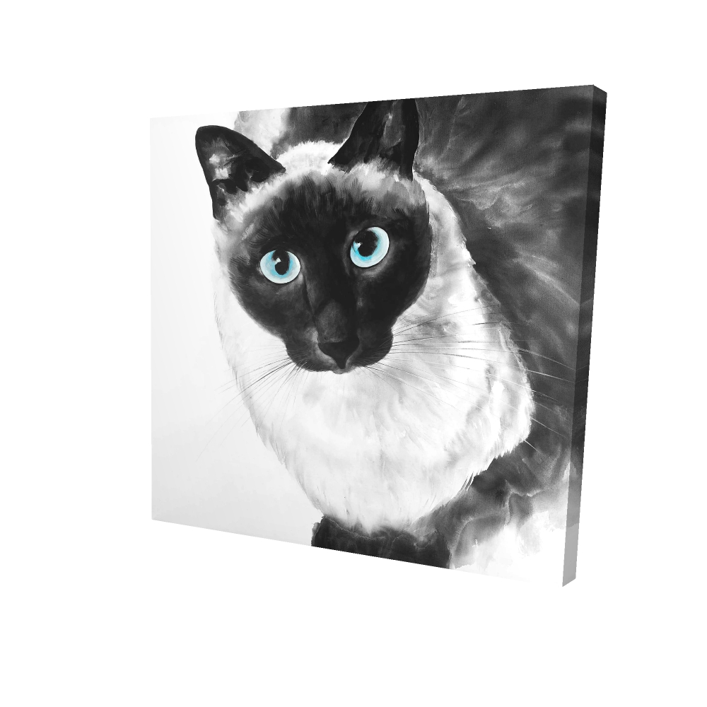 2080-3636-AN191 36 x 36 in. Blue Eyes Siamese Cat Canvas - Feline Home Decor Art