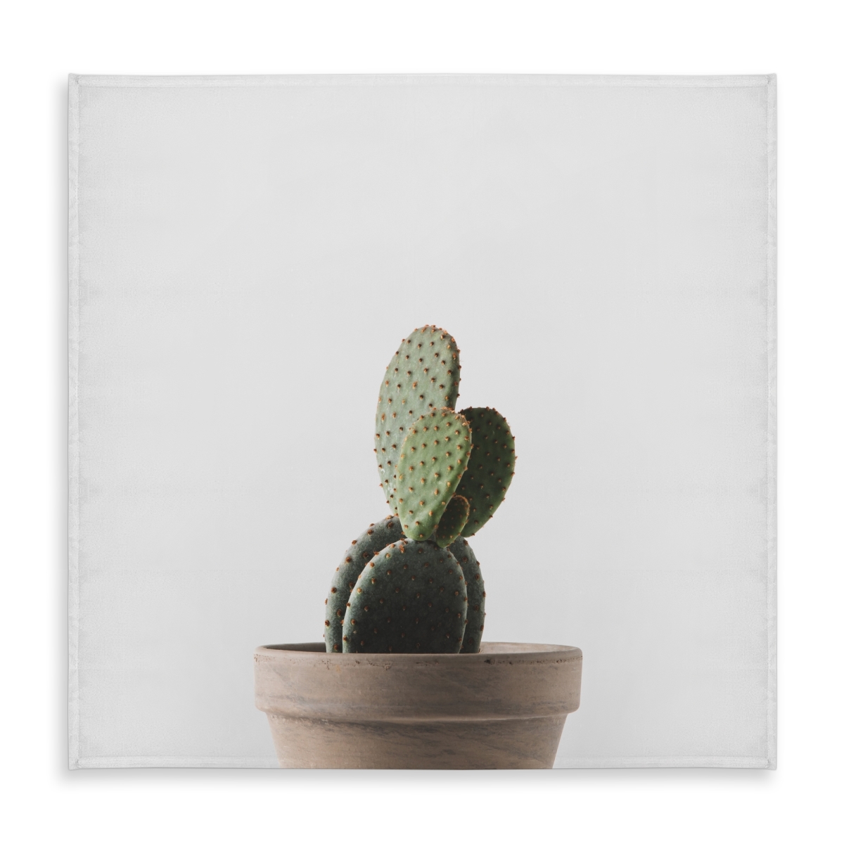 Picture of Begin Home Decor C1TC5858IJJRVB 58 x 58 in. Potted Cactus Tablecloth - Botanical Green Indoor & Outdoor Decor