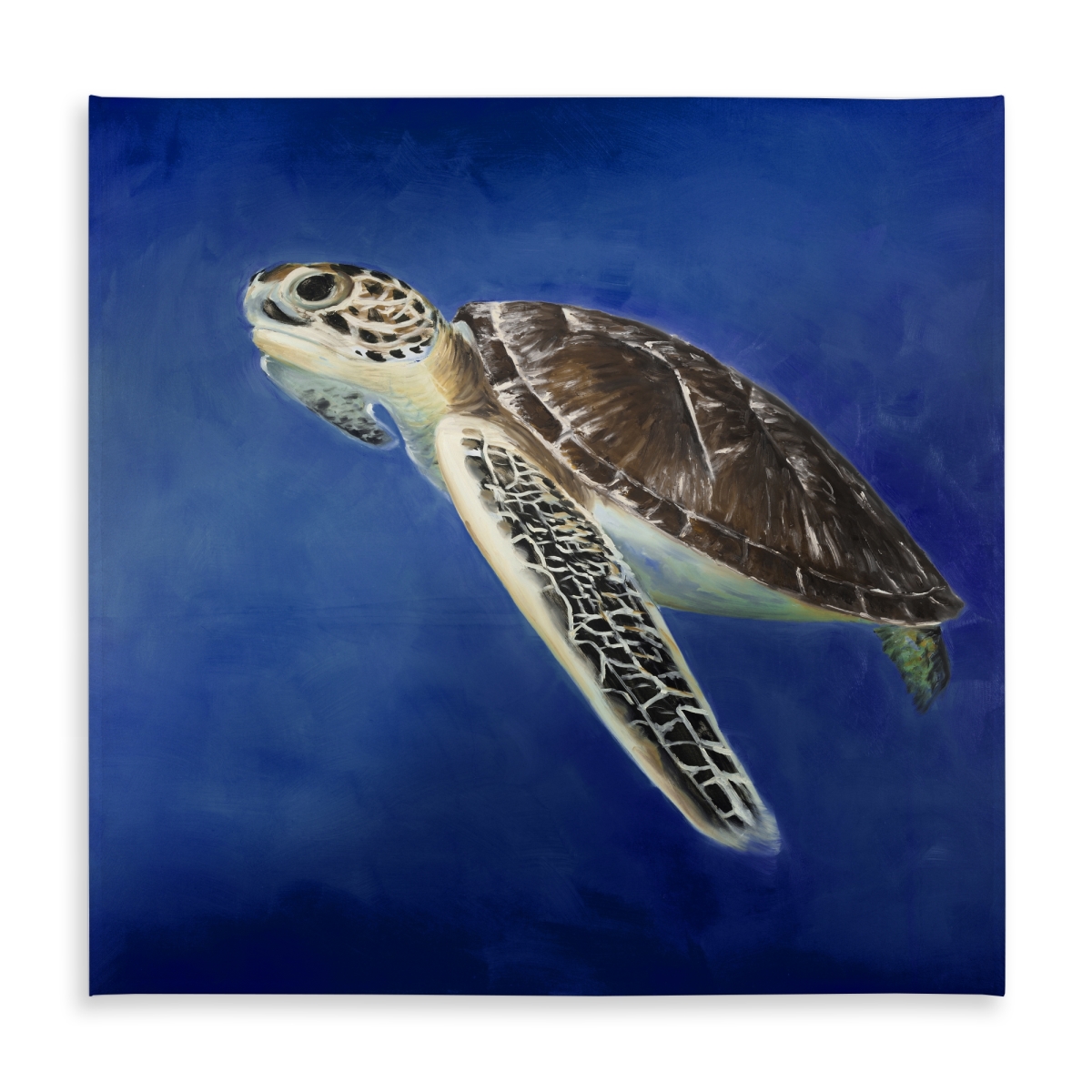 Picture of Begin Home Decor C1TC5858Z6XZVX 58 x 58 in. Beautiful Sea Turtle Tablecloth - Marine Decor Indoor & Outdoor