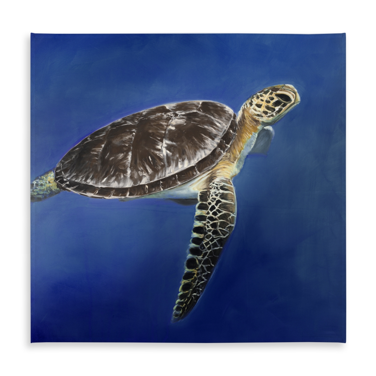 Picture of Begin Home Decor C1TC5858TDDLRX 58 x 58 in. Turtle in the Ocean Tablecloth - Brown Animal Decor, Indoor & Outdoor
