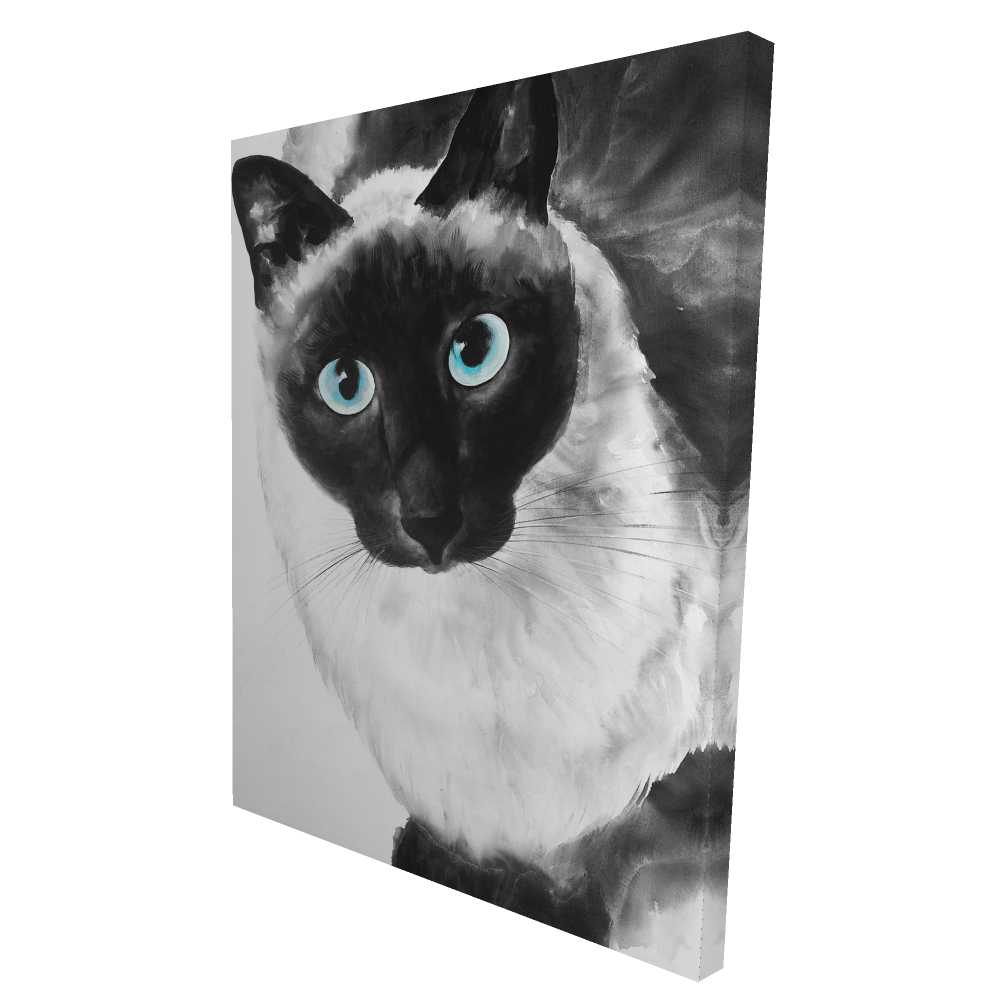 2080-4836-AN191 36 x 48 in. Blue Eyes Siamese Cat - White Canvas Home Decor Art