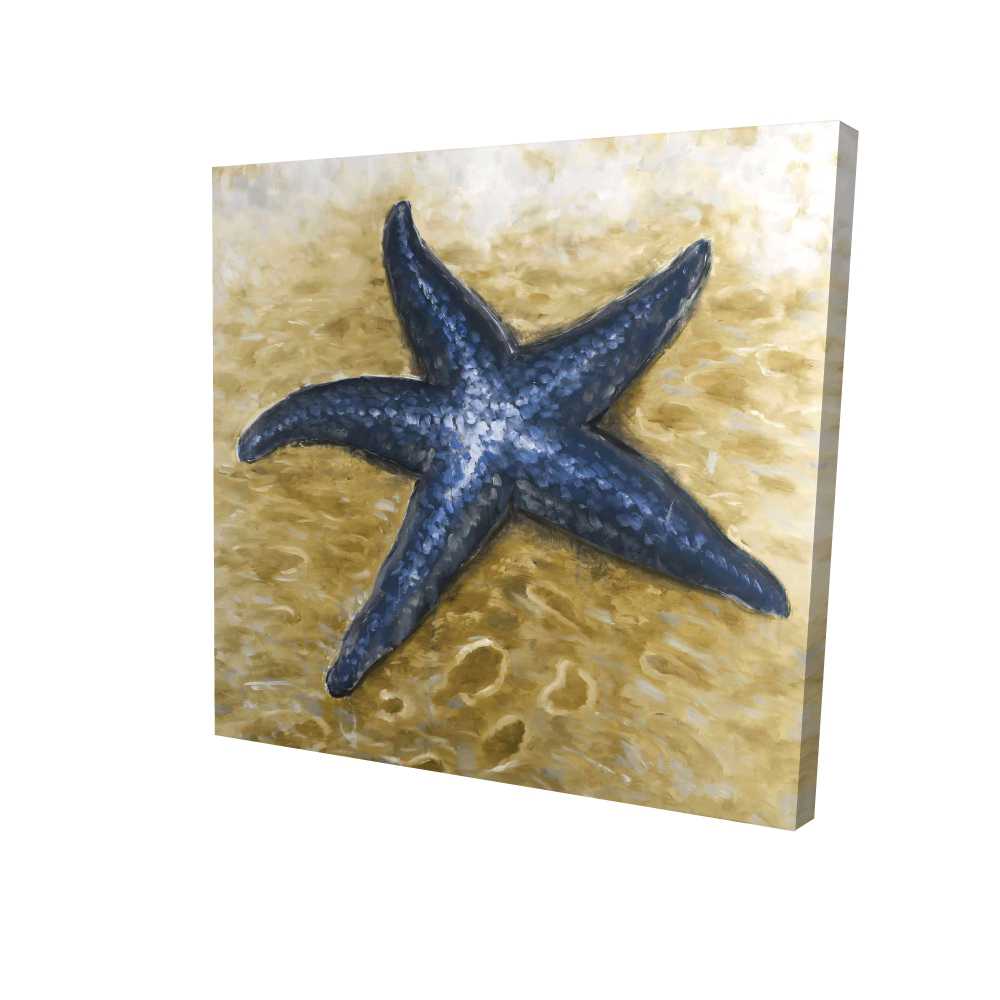 2080-3636-CO67-1 36 x 36 in. Beautiful Starfish - Marine Bathroom Canvas Home Decor