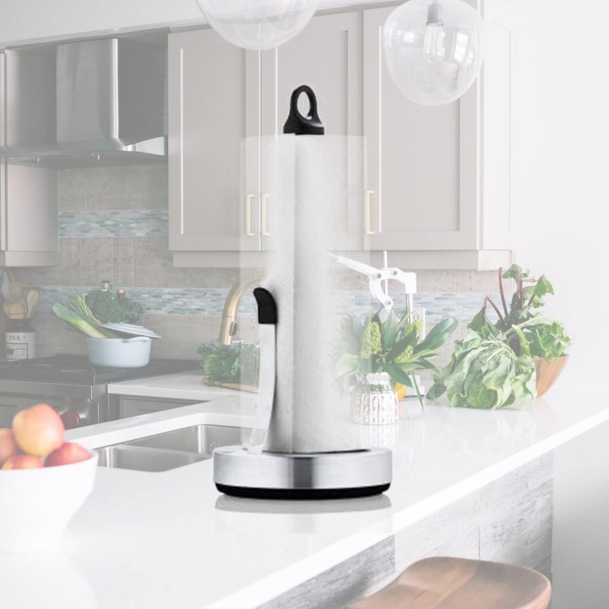 Picture of Blomus 63651 Paper Towel Holder