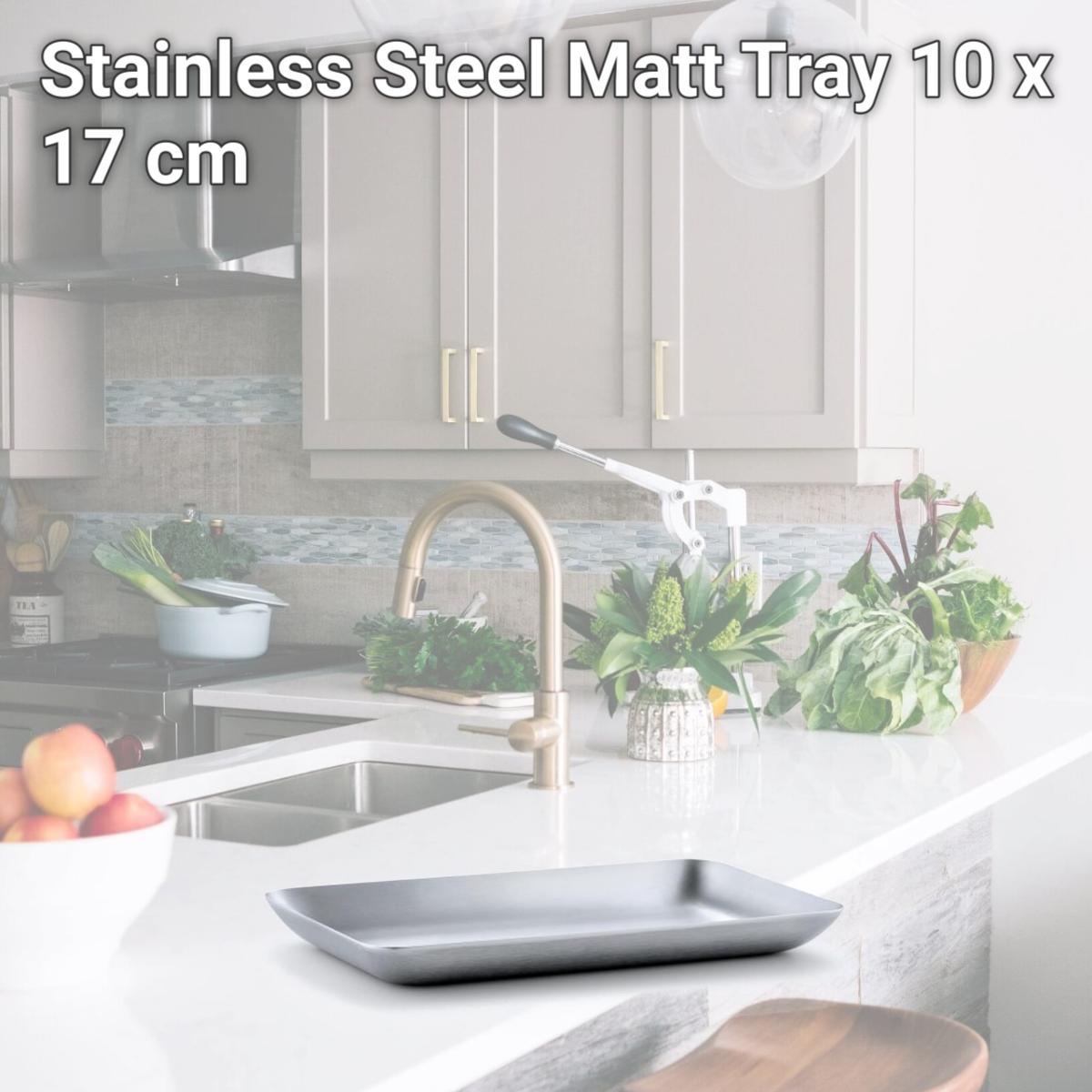 Picture of Blomus 63610 Stainless Steel Matt Tray, 10 x 17 cm