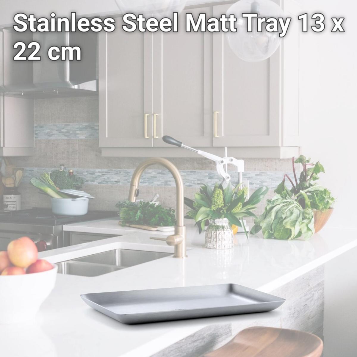 Picture of Blomus 63611 Stainless Steel Matt Tray, 13 x 22 cm