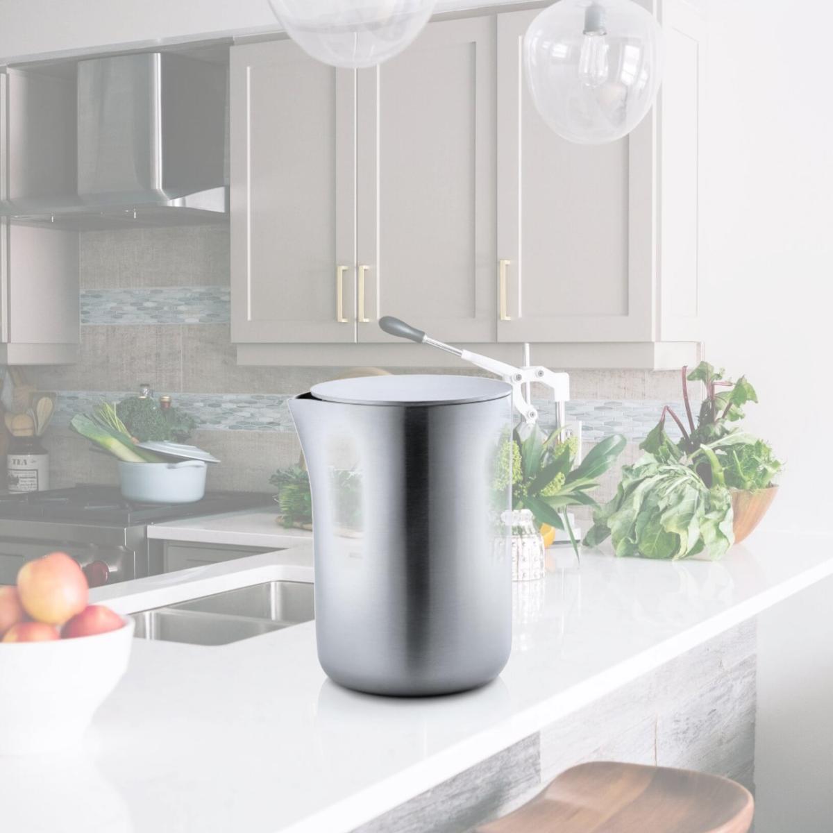 Picture of Blomus 63620 Stainless Steel Matt Milk Container with Lid