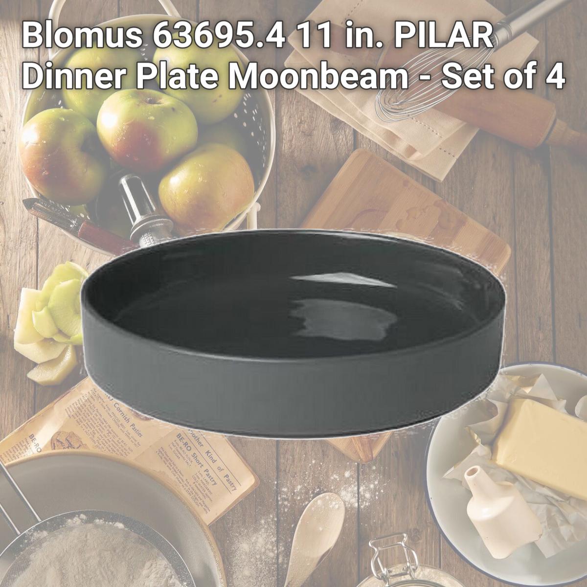 Picture of Blomus 63695.4 11 in. PILAR Dinner Plate  Moonbeam - Set of 4
