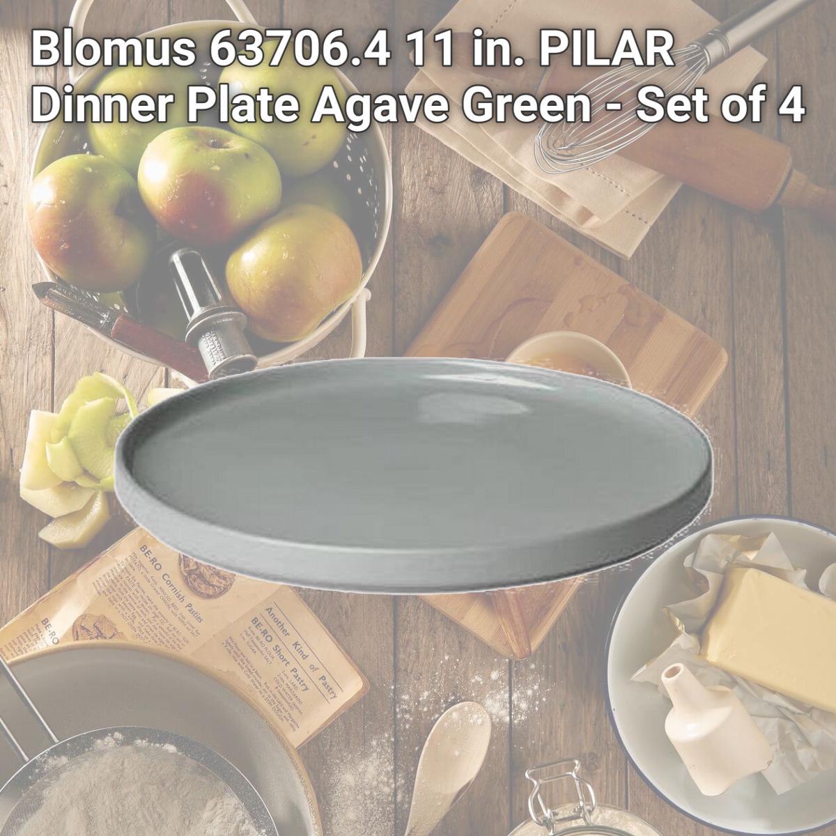 Picture of Blomus 63706.4 11 in. PILAR Dinner Plate  Agave Green - Set of 4