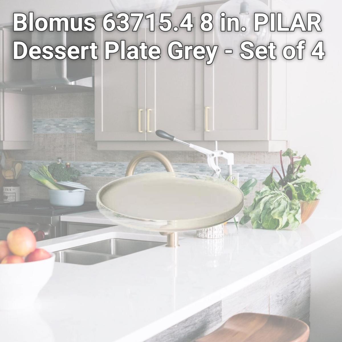 Picture of Blomus 63715.4 8 in. PILAR Dessert Plate  Grey - Set of 4