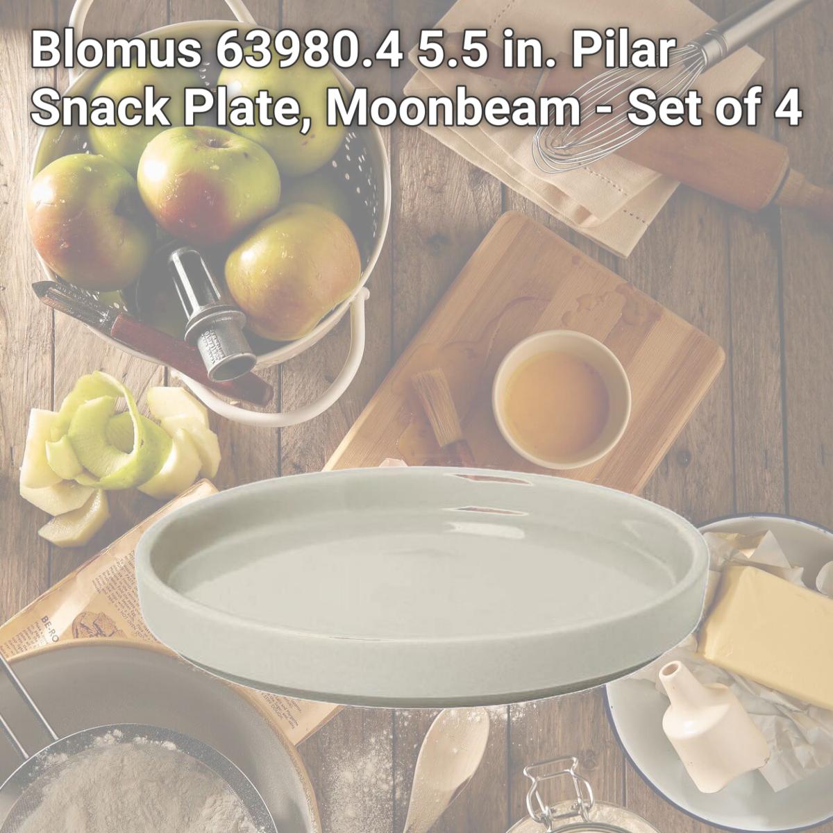 Picture of Blomus 63980.4 5.5 in. Pilar Snack Plate, Moonbeam - Set of 4