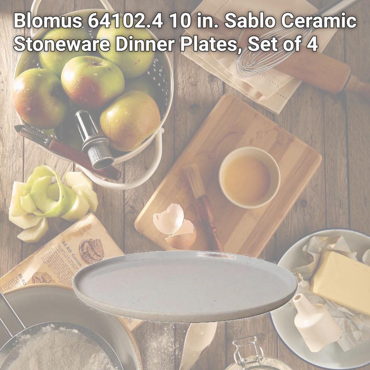 Picture of Blomus 64102.4 10 in. Sablo Ceramic Stoneware Dinner Plates, Set of 4