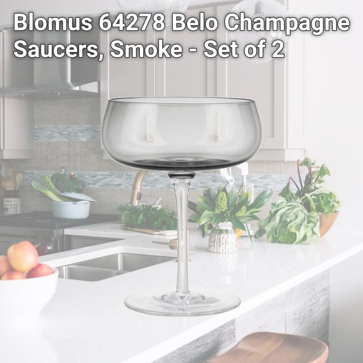 Picture of Blomus 64278 Belo Champagne Saucers, Smoke - Set of 2