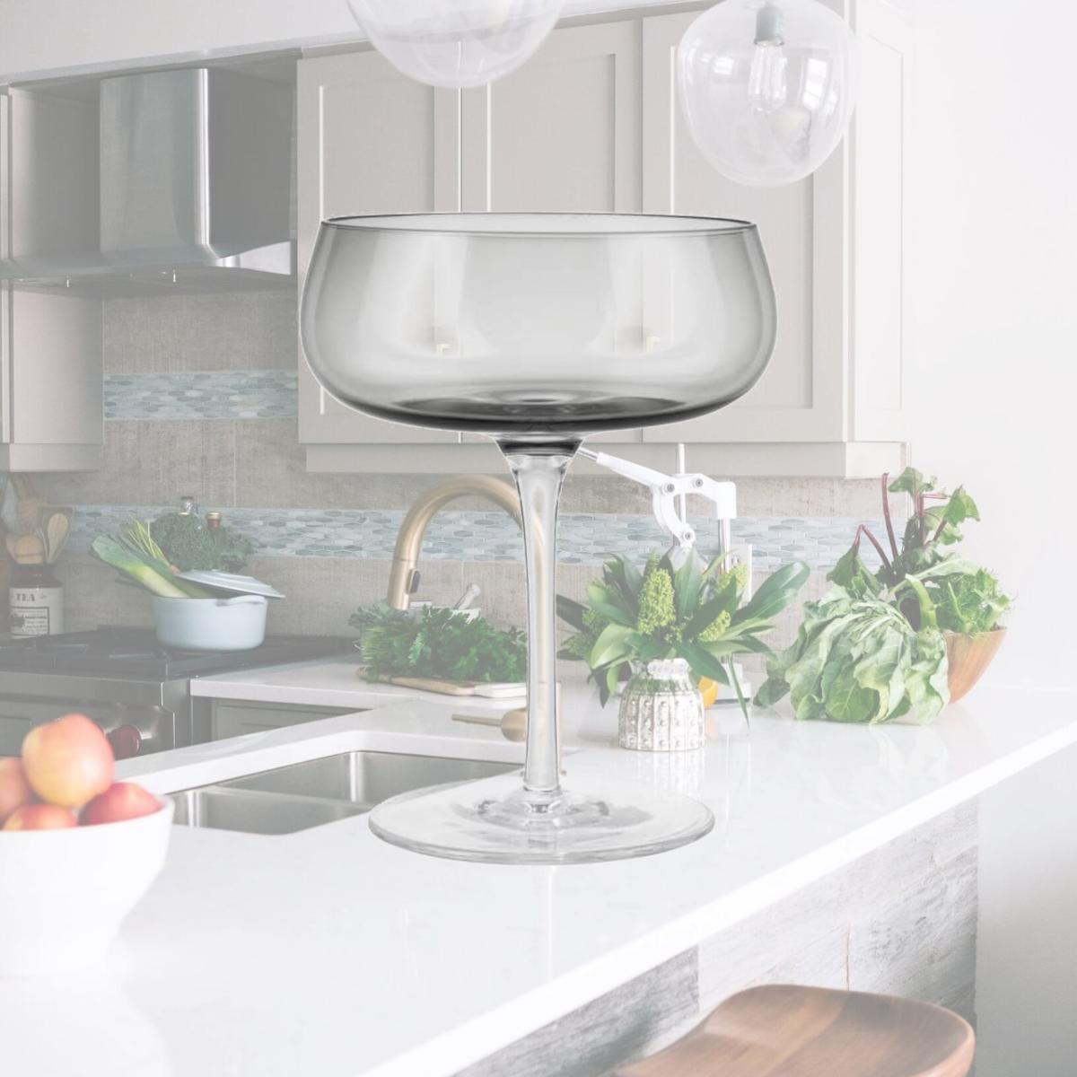 Picture of Blomus 64278 Belo Champagne Saucers, Smoke - Set of 2