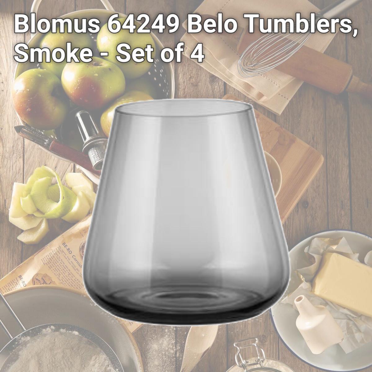 Picture of Blomus 64249 Belo Tumblers, Smoke - Set of 4