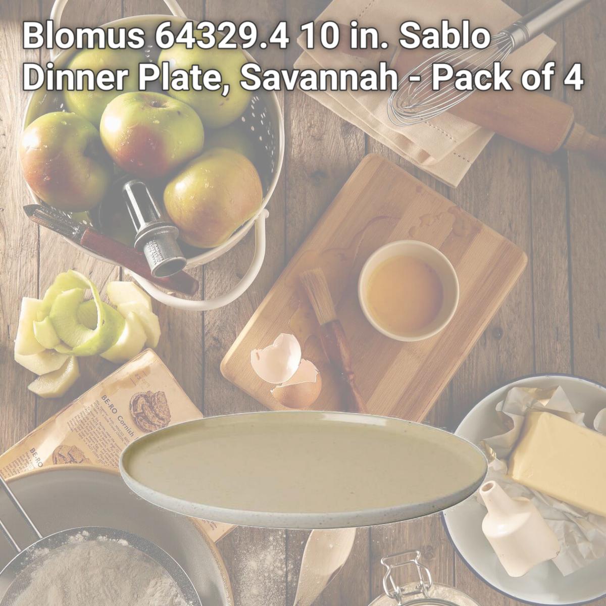 Picture of Blomus 64329.4 10 in. Sablo Dinner Plate, Savannah - Pack of 4