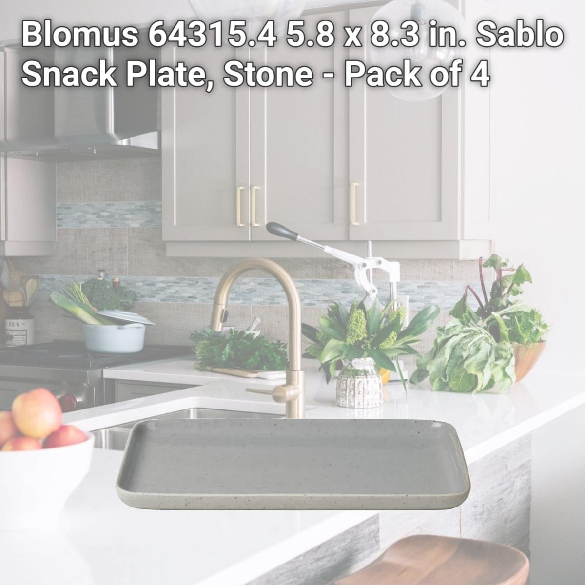 Picture of Blomus 64315.4 5.8 x 8.3 in. Sablo Snack Plate, Stone - Pack of 4