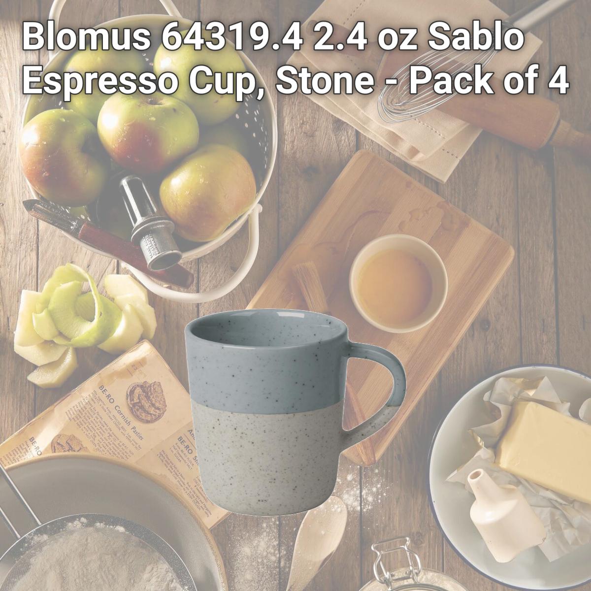 Picture of Blomus 64319.4 2.4 oz Sablo Espresso Cup, Stone - Pack of 4