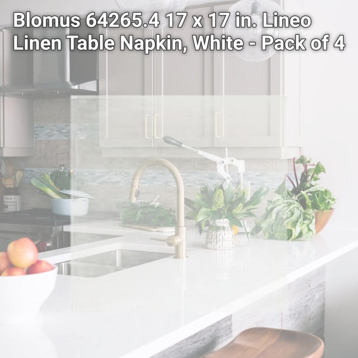 Picture of Blomus 64265.4 17 x 17 in. Lineo Linen Table Napkin, White - Pack of 4