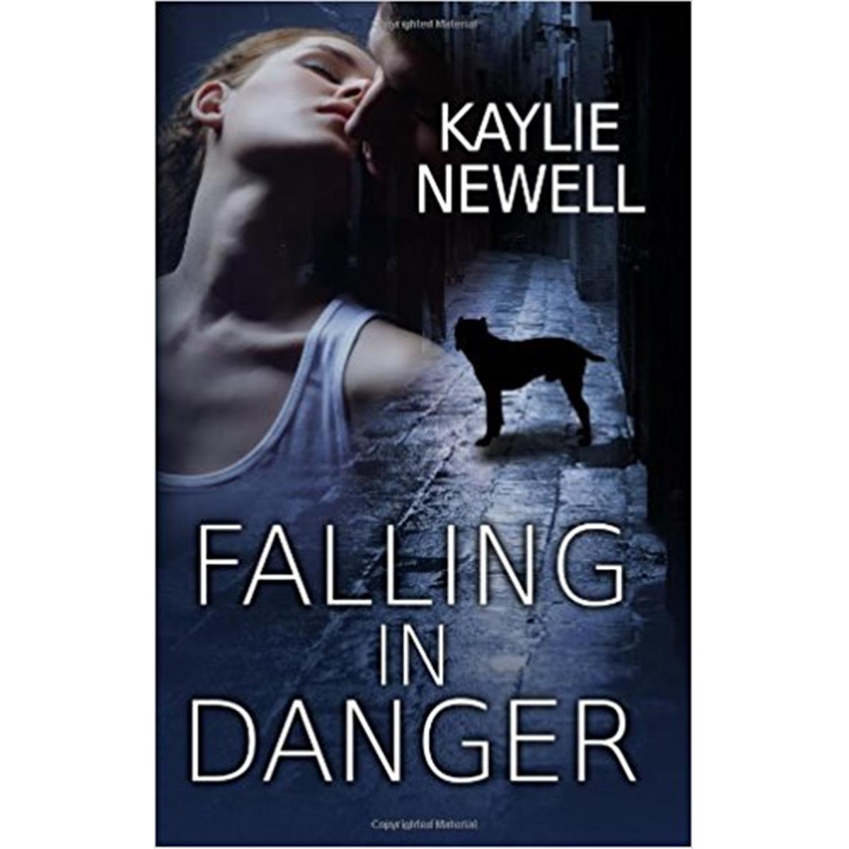 9781538584965 Falling In Danger For English