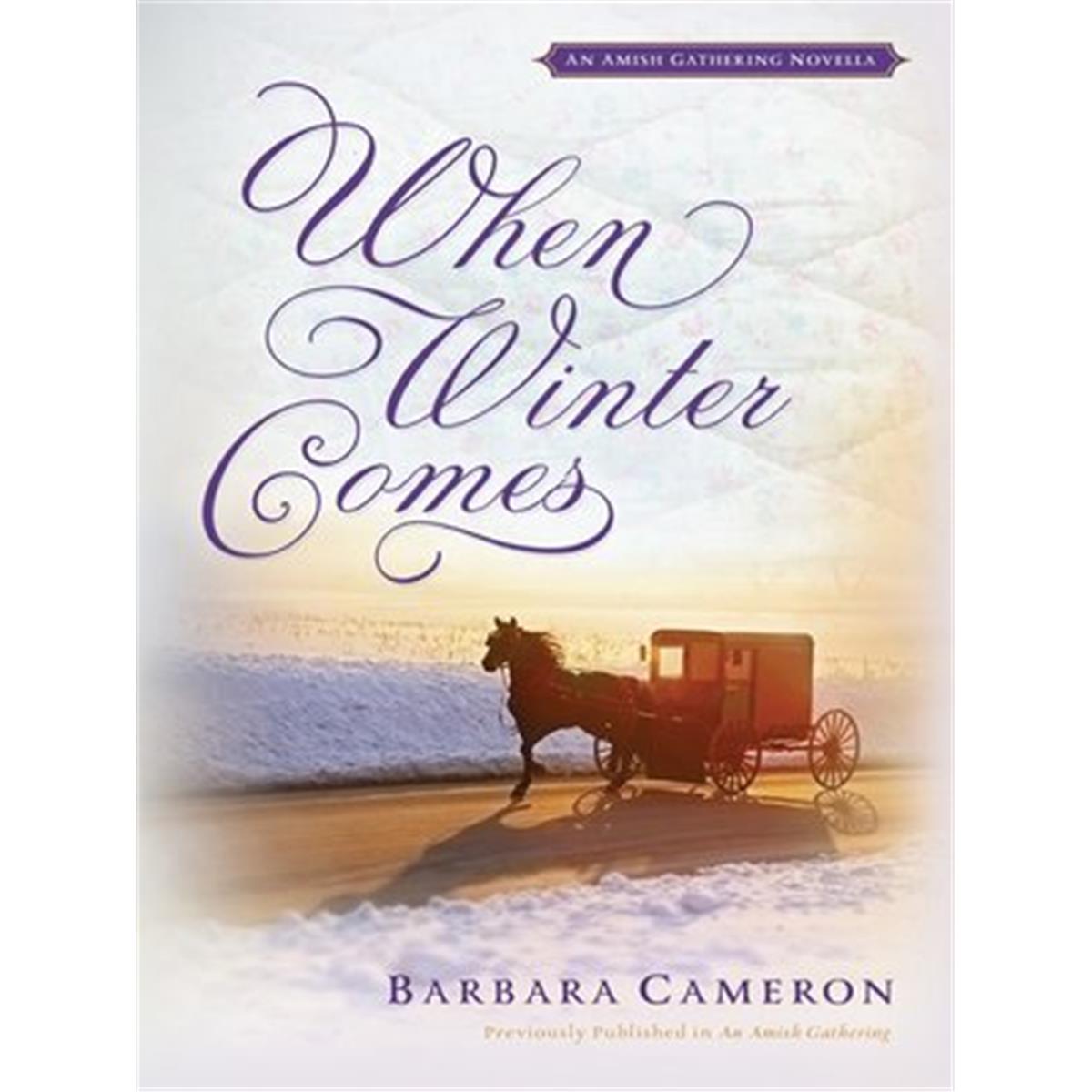 9781538555927 When Winter Comes Book