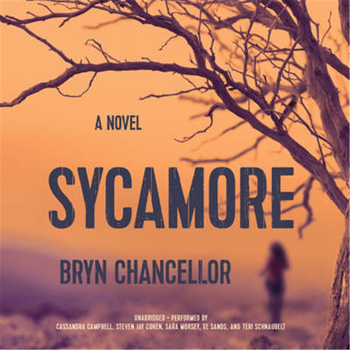 9781538419793 Sycamore A Novel - Audio Book