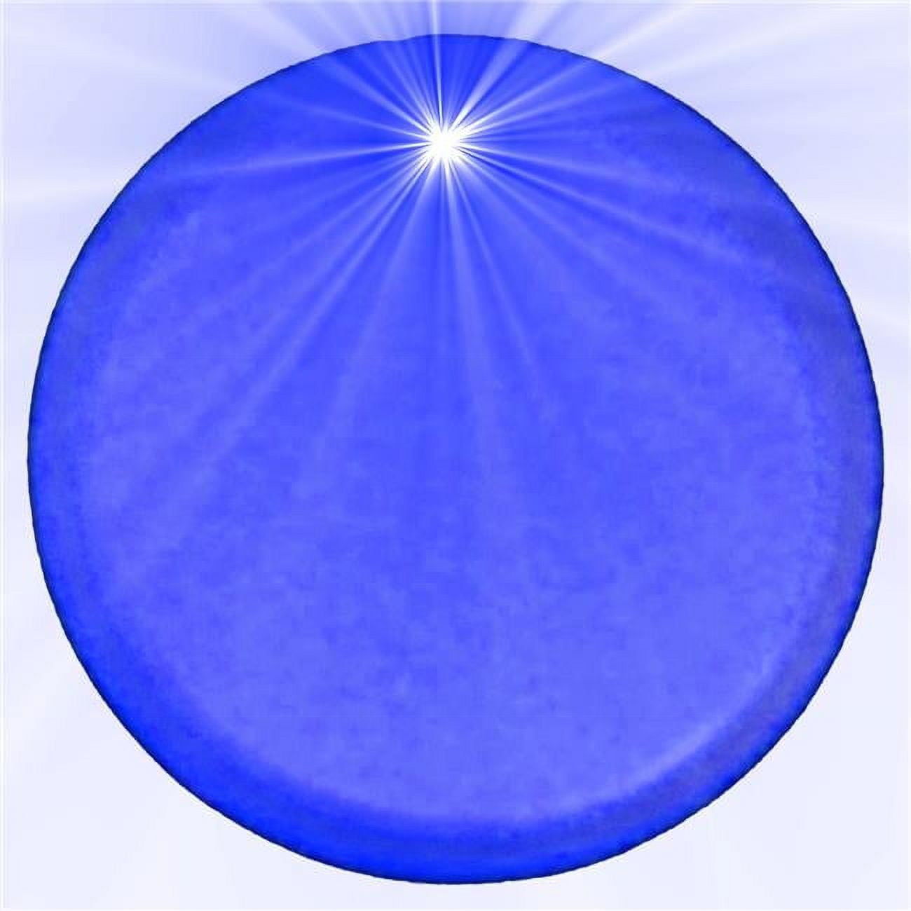 310057 Light Up Round Badge Pin, Blue