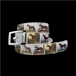 6204SI103VNHRS02 Vintage Horses Belt with Silver Chrome Buckle Combo