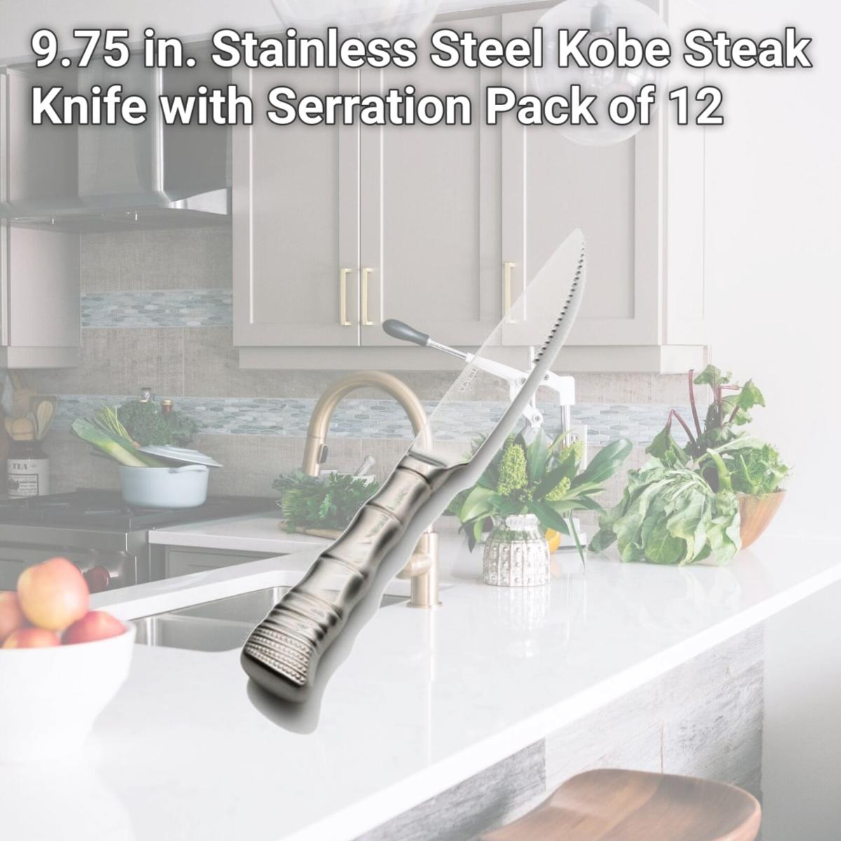 Picture of Bon Chef S934 9.75 in. Stainless Steel Kobe Steak Knife with Serration, Pack of 12