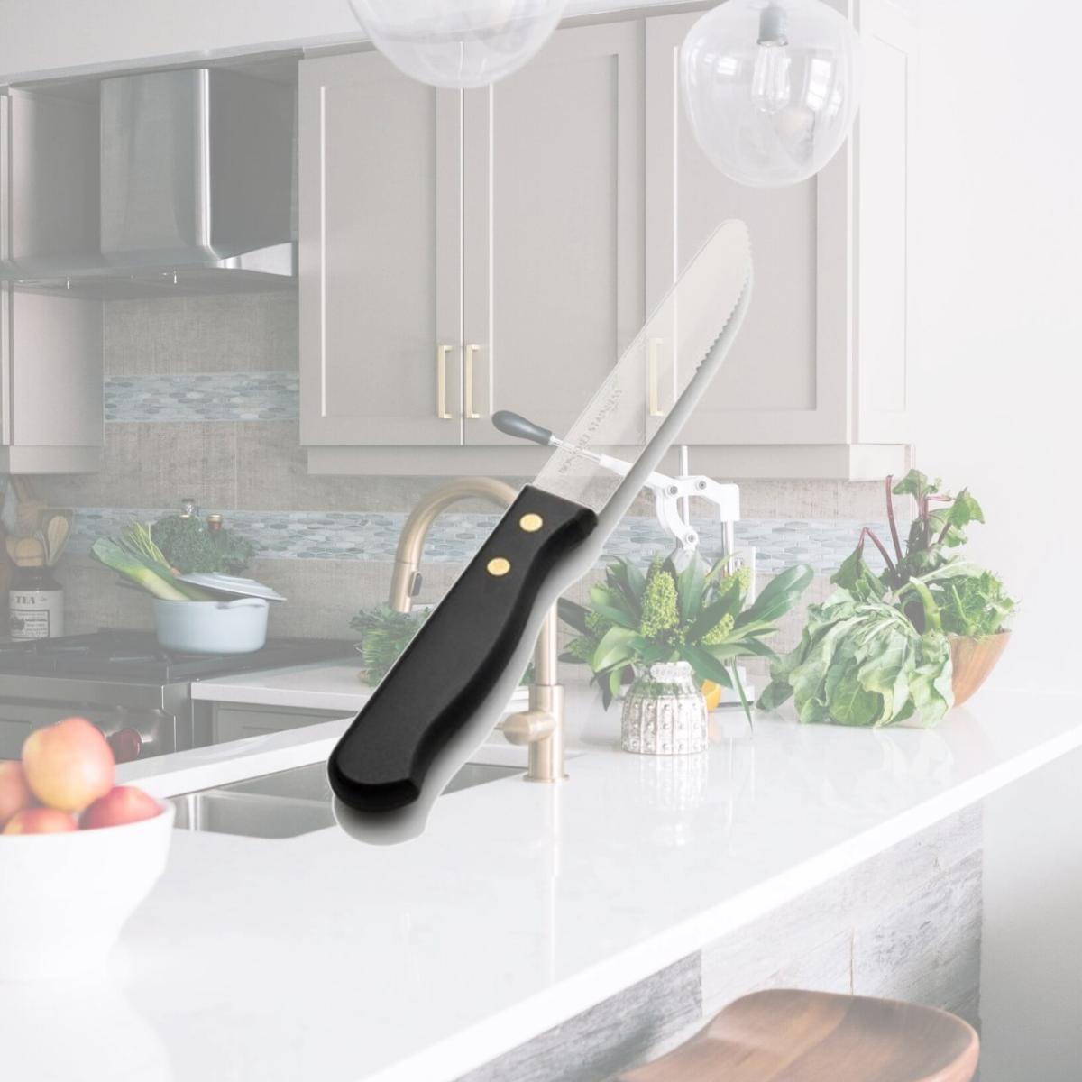 Picture of Bon Chef S935 10 in. Gaucho Steak Knife & 5 in. Round Tip Blade, Pack of 12