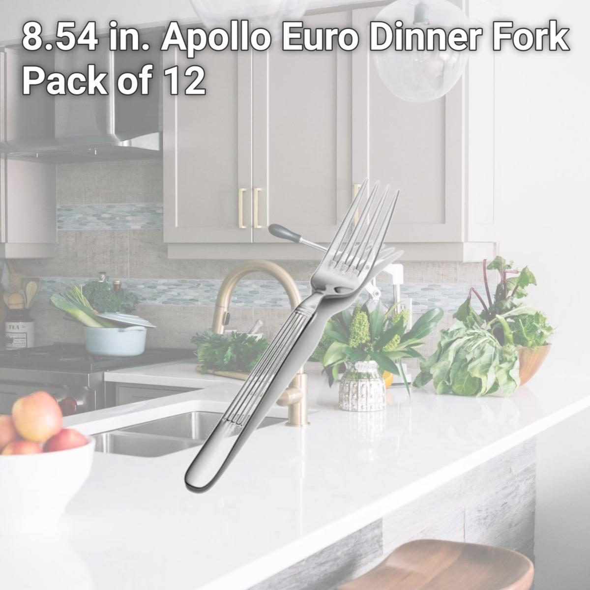 Picture of Bon Chef SBS3606 8.54 in. Apollo Euro Dinner Fork, Pack of 12