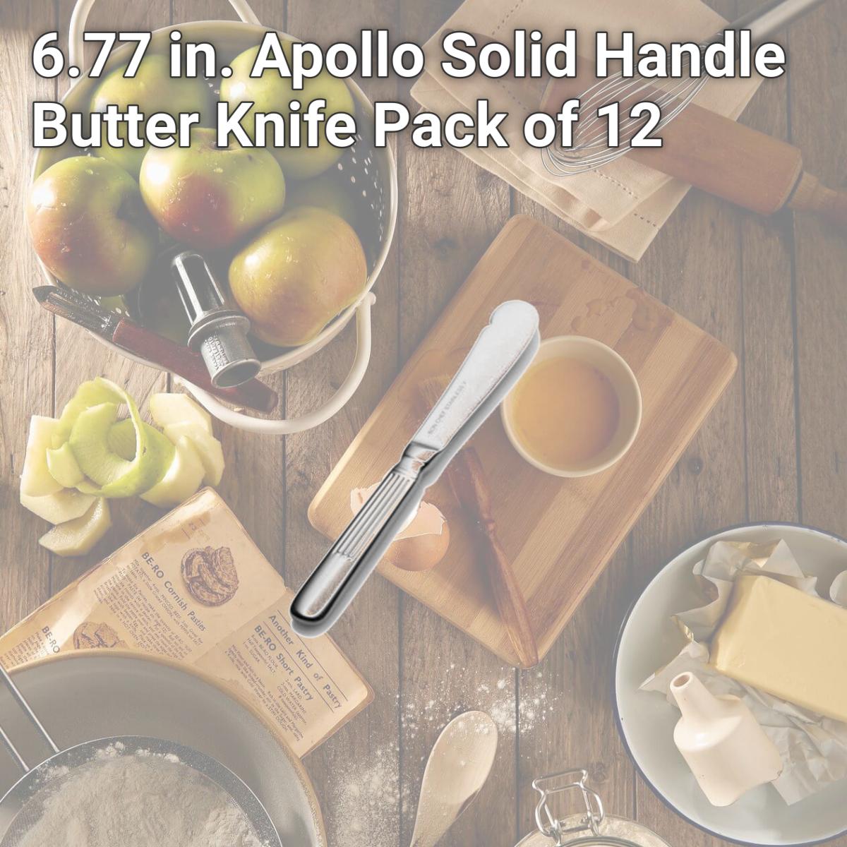 Picture of Bon Chef SBS3613 6.77 in. Apollo Solid Handle Butter Knife, Pack of 12